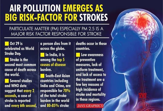 Air pollution as stroke risk in MENA region