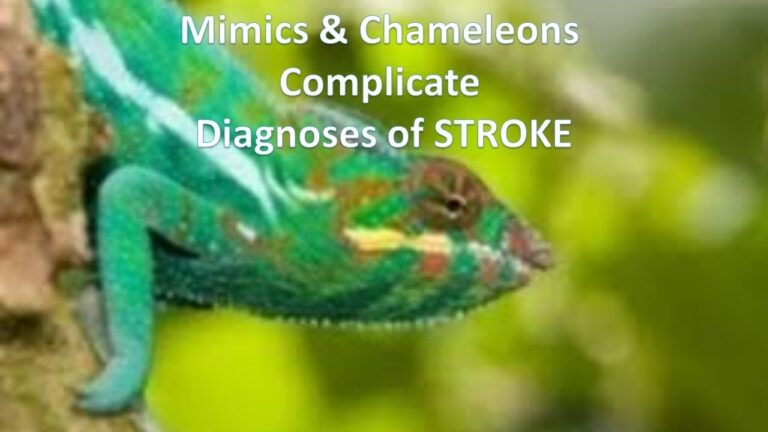 Identifying Stroke Chameleons in Triage and in-Hospital